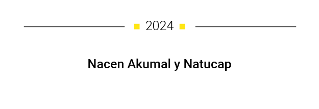 nuestra historia Mesa de trabajo 1 04